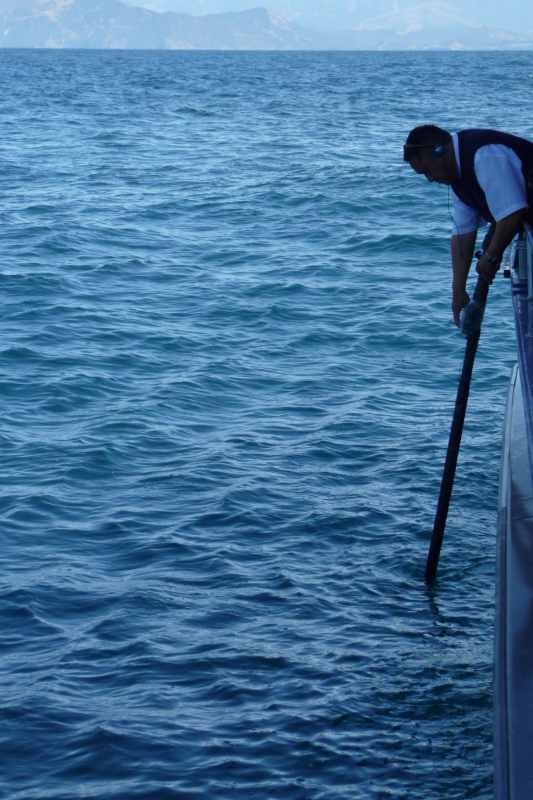 Nieuw-Zeeland 2011 - 1219